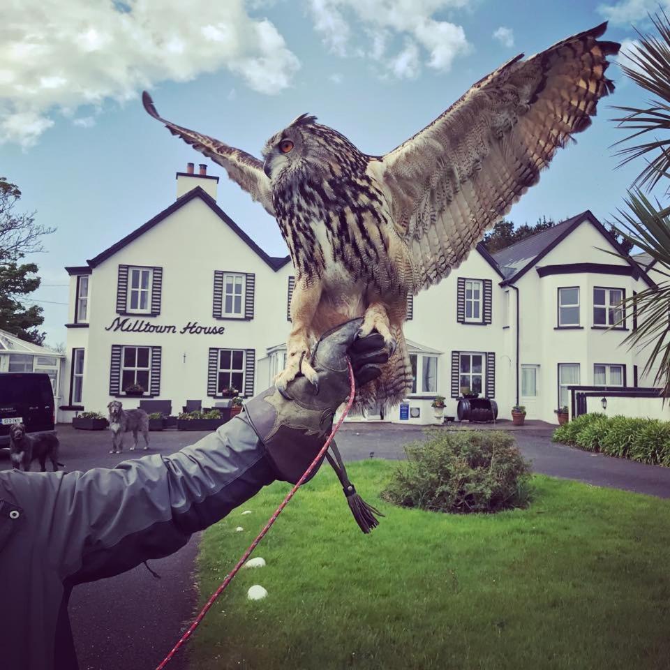 Hotel Milltown House Dingle Esterno foto