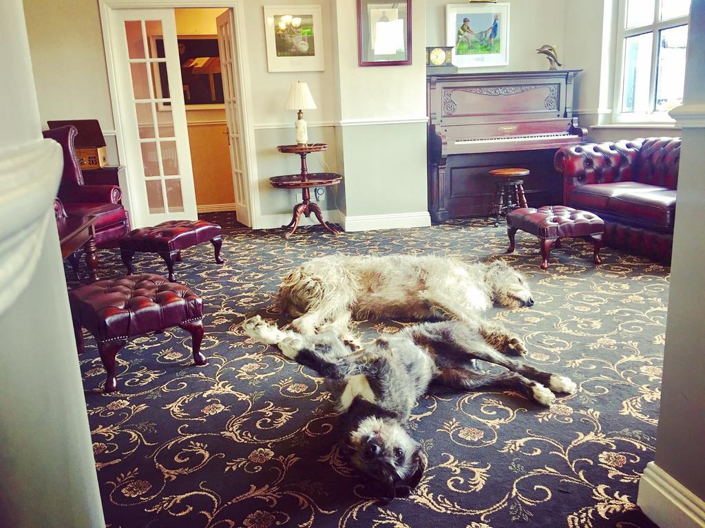 Hotel Milltown House Dingle Esterno foto